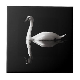 Elegant White Swan Reflection op Black Lake Tegeltje