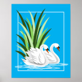 Elegant White Swans on Blue Water Poster (Voorkant)