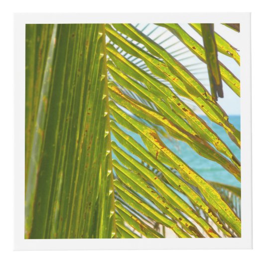 Elegant White Tropical Kubus (Rechts)