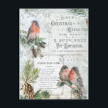 Elegant  Winter Kerstroins Feestdagenkaart<br><div class="desc">Uitgebreide charmante kerstairsamenstelling met bijtende boshaaien,  zoals robins,  met sneeuw bedekte boughs van heilig en pijnlijk,  gegraveerd schrift,  kersttijdgedicht in gegraveerd berkenschaap,  en elegante witte rollen en florties op een lichtblauwe achtergrond.</div>