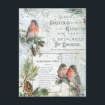Elegant  Winter Kerstroins Feestdagenkaart<br><div class="desc">Uitgebreide charmante kerstairsamenstelling met bijtende boshaaien,  zoals robins,  met sneeuw bedekte boughs van heilig en pijnlijk,  gegraveerd schrift,  kersttijdgedicht in gegraveerd berkenschaap,  en elegante witte rollen en florties op een lichtblauwe achtergrond.</div>
