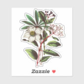 Elegant  Winter Roos Hellebore Sticker (Vel)