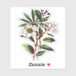 Elegant  Winter Roos Hellebore Sticker