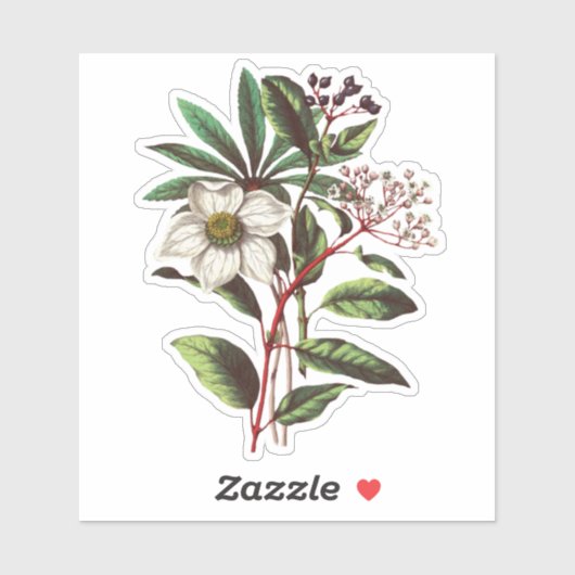 Elegant  Winter Roos Hellebore Sticker (Vel)