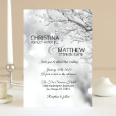 Elegant Winter Wonderland Sneeuw Sneeuwvlokken TRO Kaart