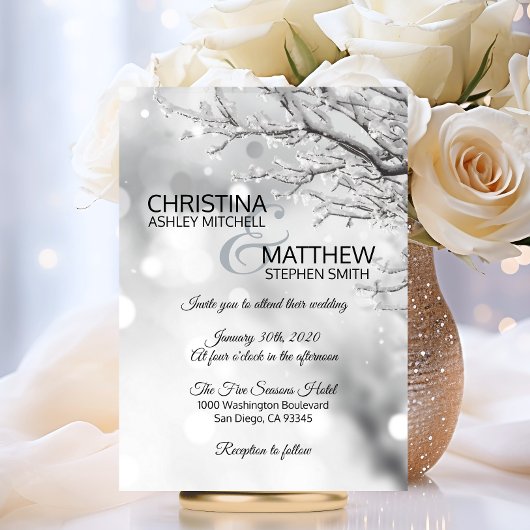 Elegant Winter Wonderland Sneeuw Sneeuwvlokken TRO Kaart