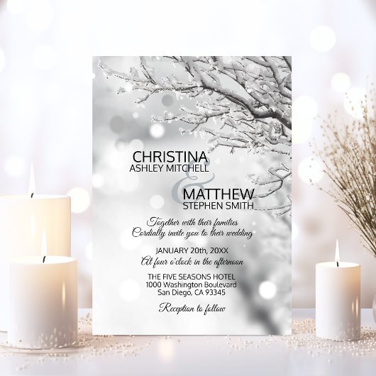 Elegant Winter Wonderland Sneeuwvlokken WEDING Kaart