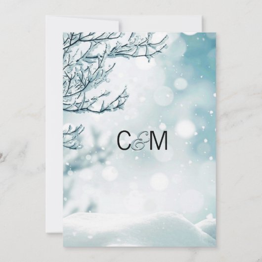 Elegant Winter Wonderland Sneeuwvlokken WEDING Kaart (Achterkant)