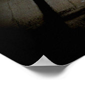 Elegant witte pauw  natuur vogelfoto poster (Hoek)