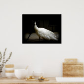 Elegant witte pauw  natuur vogelfoto poster (Keuken)