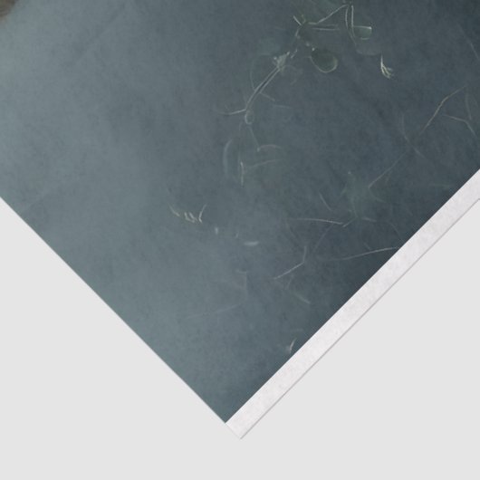 Elegant Woman in Opulent Ball Gown Tissuepapier (Detail)