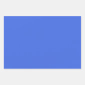 Elegant WRS Gift Wrapping Sheets Inpakpapier Vel (Voorkant 2)