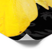 Elegant Yellow Butterfly Black Damask Poster (Hoek)