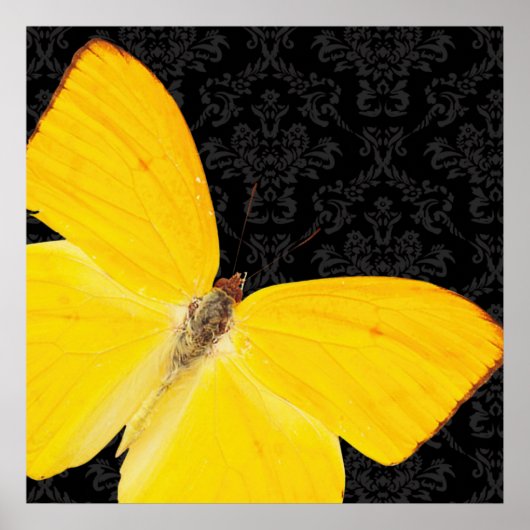 Elegant Yellow Butterfly Black Damask Poster (Voorkant)