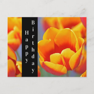 Elegant Yellow en Red Tulip Happy Birthday Briefkaart