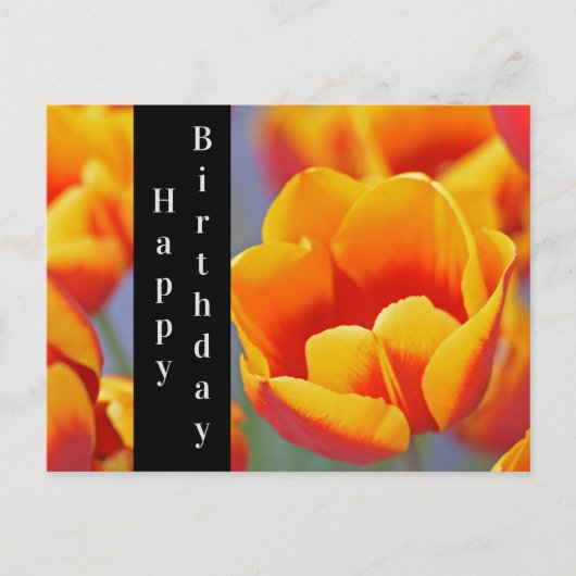 Elegant Yellow en Red Tulip Happy Birthday Briefkaart (Voorkant)