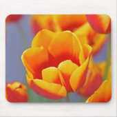 Elegant Yellow en Red Tulip Muismat (Voorkant)