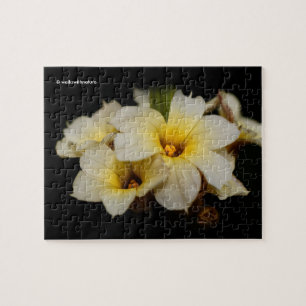 Elegant Yellow Floral Satin Flowers op zwart Legpuzzel