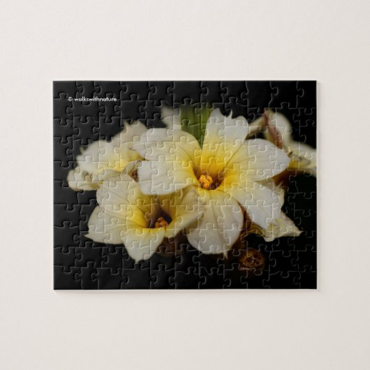 Elegant Yellow Floral Satin Flowers op zwart Legpuzzel (Horizontaal)