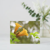 Elegant Yellow Trumpet vine Flowers Bokeh Briefkaart (Staand voorkant)