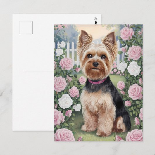 Elegant Yorkshire Terrier Roos Tuinschilderij Briefkaart (Voorkant / Achterkant)