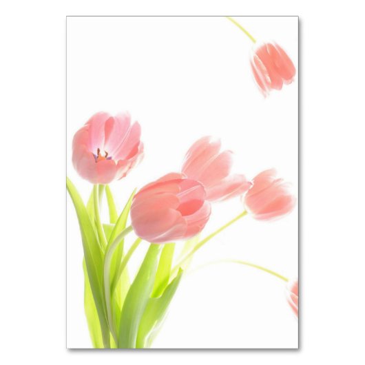 Elegant Zachte Roze Tulpen Kaart (Achterkant)