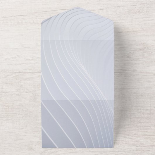 Elegant zilverkleurig Alle in één bruiloft All In One Uitnodiging (Buitenkant)