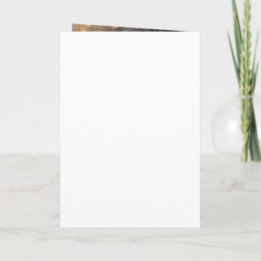 Elegant zwart en goud foto verjaardagsfeestje programma (Achterkant)