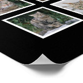 Elegant zwart huisdier Poster met 12 foto slots (Hoek)