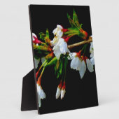 Elegant Zwart Wit bloeiende witte bloesem Fotoplaat (Zijkant)