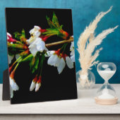 Elegant Zwart Wit bloeiende witte bloesem Fotoplaat (Zijkant)