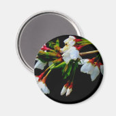 Elegant Zwart Wit bloeiende witte bloesem Magneet (Voorkant / Achterkant)