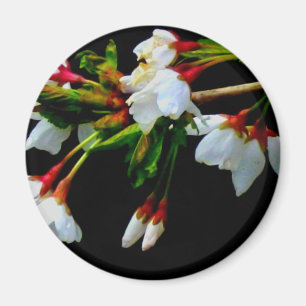 Elegant Zwart Wit bloeiende witte bloesem Magneet