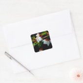 Elegant Zwart Wit bloeiende witte bloesem Vierkante Sticker (Envelop)