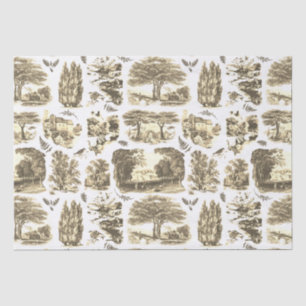 Elegant Zwart Wit Country Toile Beige Tissuepapier
