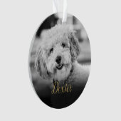 Elegant zwart-wit huisdier foto Memorial Ornament (voorkant)