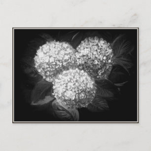 Elegant zwart-witkranen briefkaart