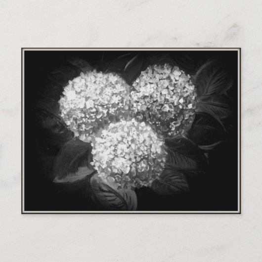 Elegant zwart-witkranen briefkaart (Voorkant)