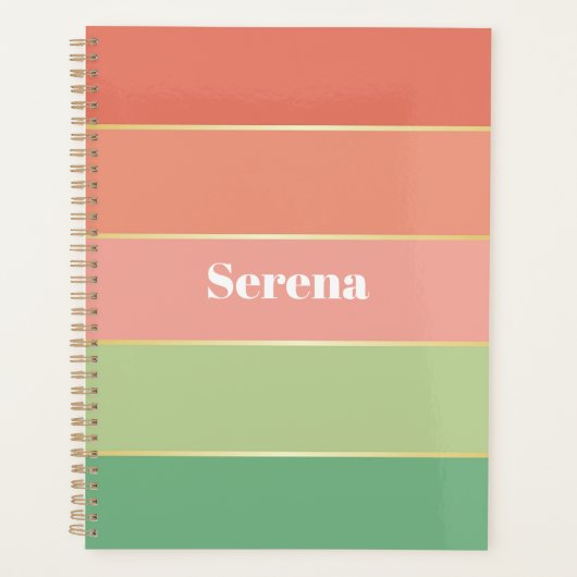 Elegante aangepaste zomerkleuren Kleurenblok Strep Planner (Voorkant)