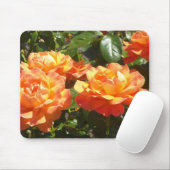 Elegante Abrikozen Rozen Muismat (Met muis)