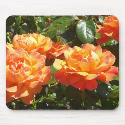 Elegante Abrikozen Rozen Muismat (Voorkant)