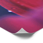 Elegante Abstracte regendruppels op roze ventilato Poster (Hoek)