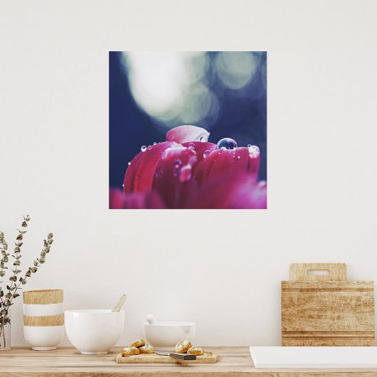 Elegante Abstracte regendruppels op roze ventilato Poster (Keuken)