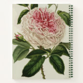 Elegante Alte Vintage Rose Blume Notitieboek (Achterkant)