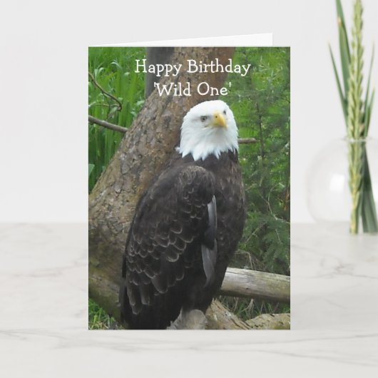 Elegante Amerikaanse zeearend Kaart (Voorkant)