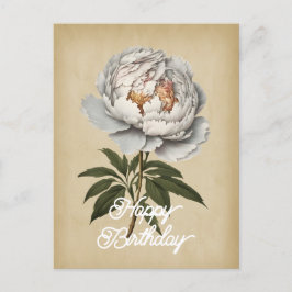 Elegante antieke witte pioenroos Bloem Gelukkige V Briefkaart