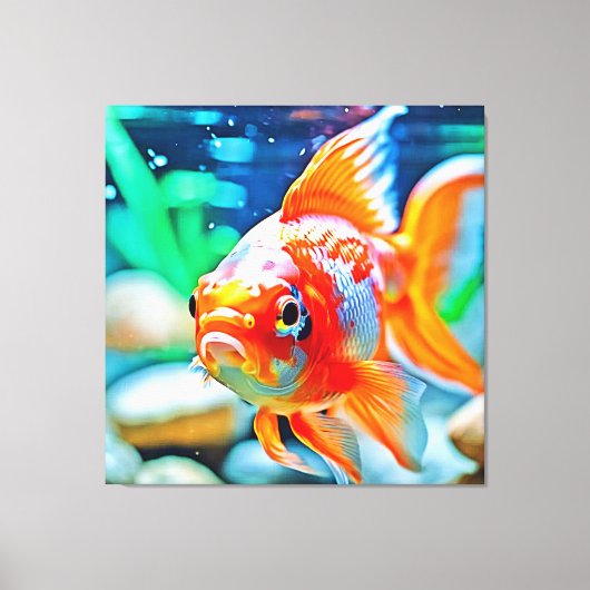 Elegante aquarium huisdier vis canvas afdruk (Voorkant)