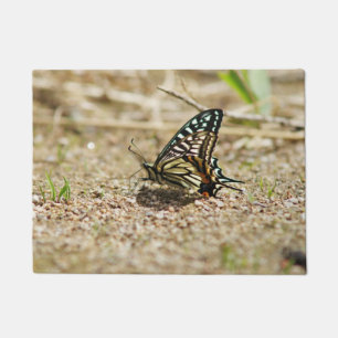 Elegante Aziatische Swallowtail Butterfly - Gedeta Deurmat