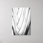 Elegante bananenboomschors gewikkeld canvas Print (Voorkant)