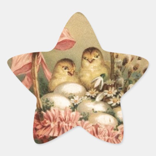 ELEGANTE BASKET, KIKENS, VLOEREN EN EENVOUDIGE EIE STER STICKER (Voorkant)